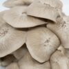 Black Pearl Mushroom p/lb - Image 3