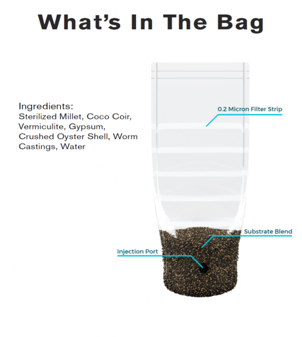 Shrüm Grow Kits - Image 3