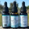 Mental Clarity Tincture - Image 2